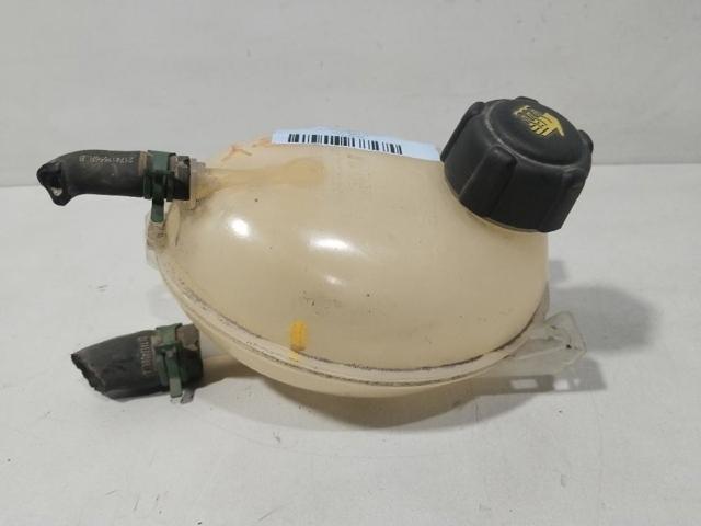 217104354R Renault (RVI)