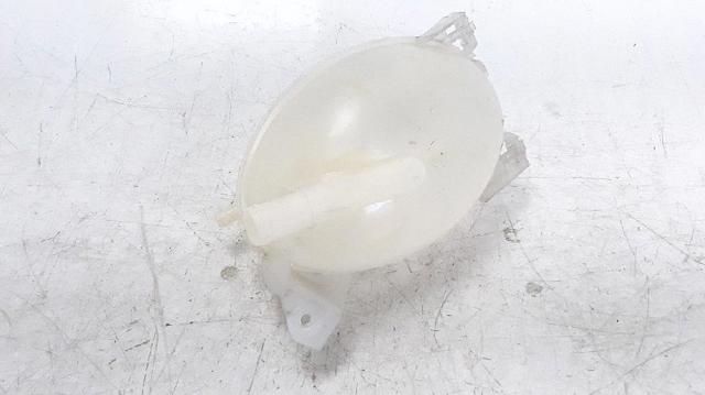 217104354R Renault (RVI)