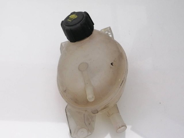 217104354R Renault (RVI)