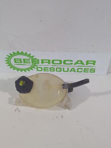 217104354R Renault (RVI)