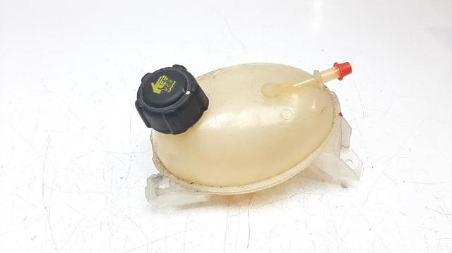 217104354R Renault (RVI)