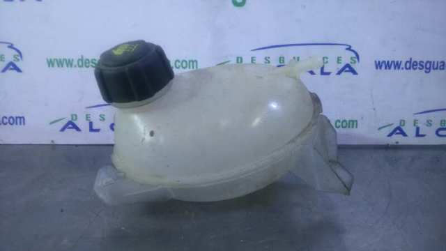 217104354R Renault (RVI)