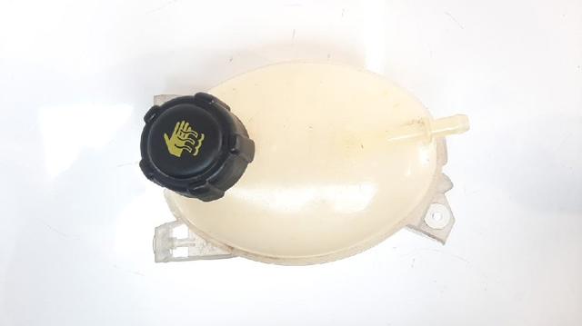 217104354R Renault (RVI)