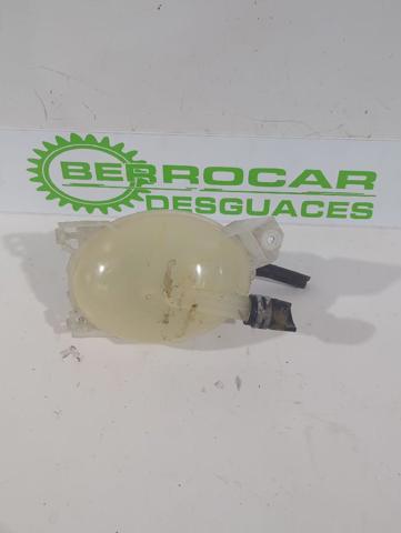 217104354R Renault (RVI)