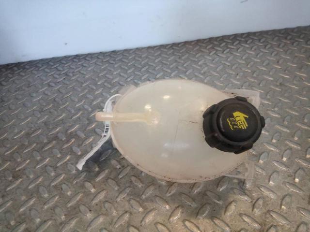 217104354R Renault (RVI)