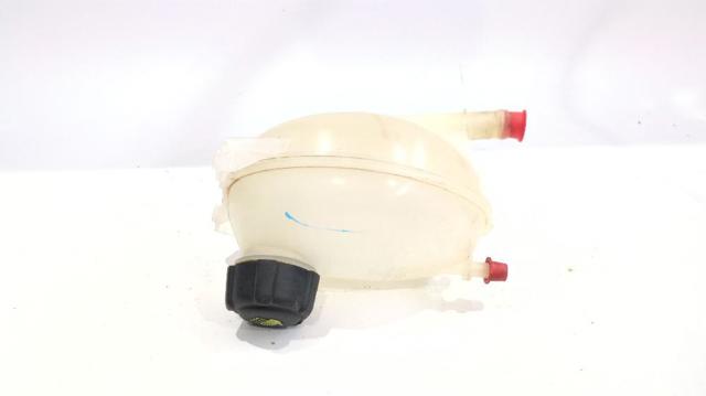 217104354R Renault (RVI)