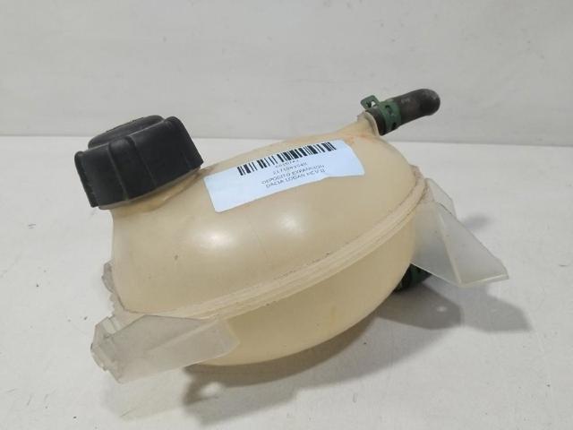 217104354R Renault (RVI)