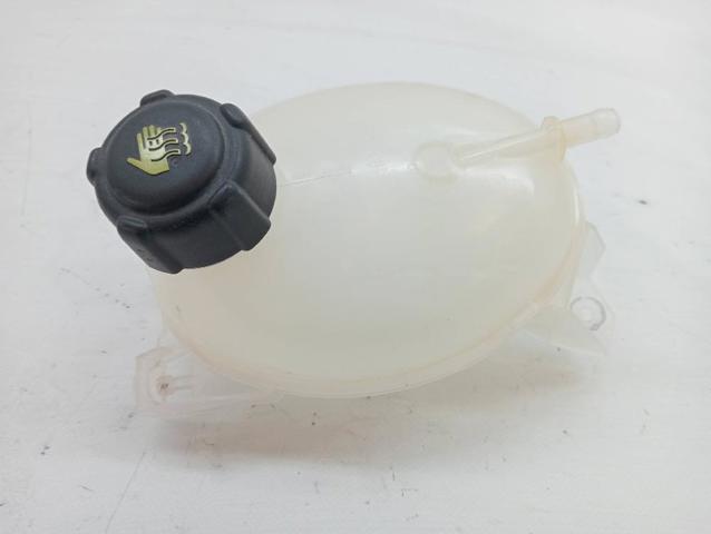 217104354R Renault (RVI)