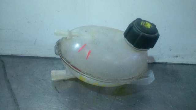 217104354R Renault (RVI)