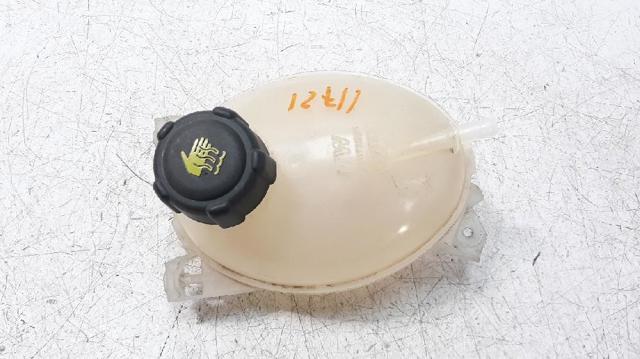 217104354R Renault (RVI)