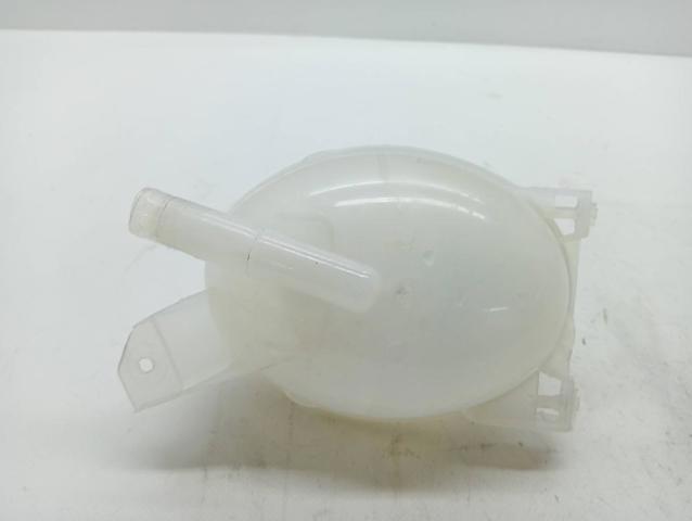 217104354R Renault (RVI)
