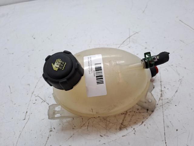 217104354R Renault (RVI)