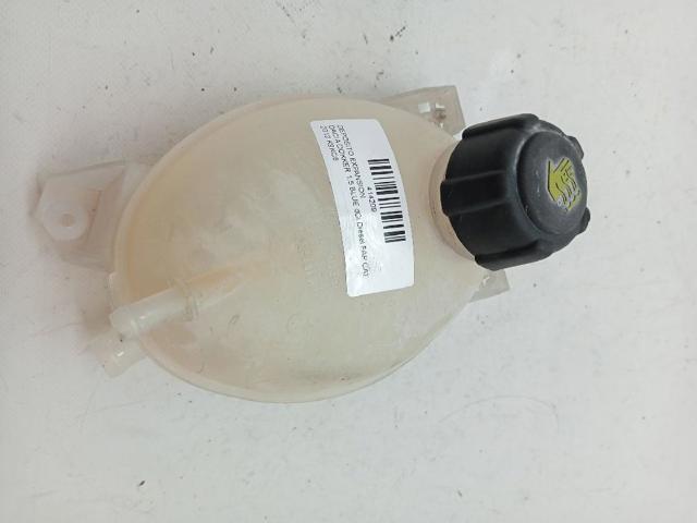 217104354R Renault (RVI)