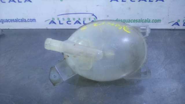 217104354R Renault (RVI)