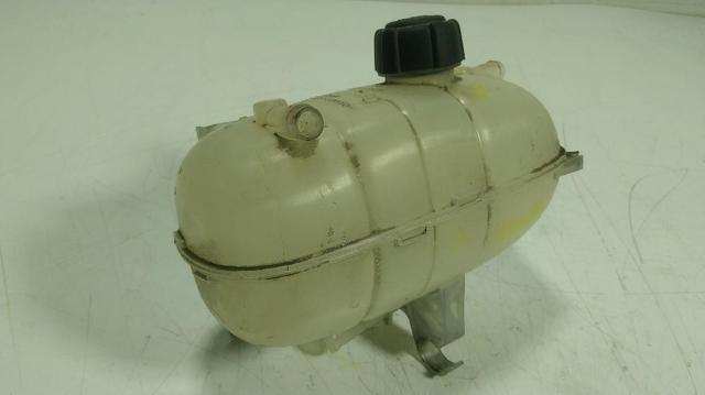 217105057R Renault (RVI)