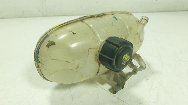 217106703R Renault (RVI)