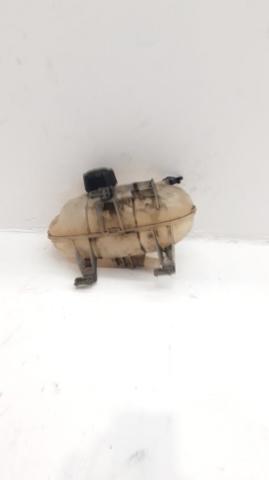 217106703R Renault (RVI)