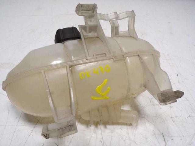 217106703R Renault (RVI)