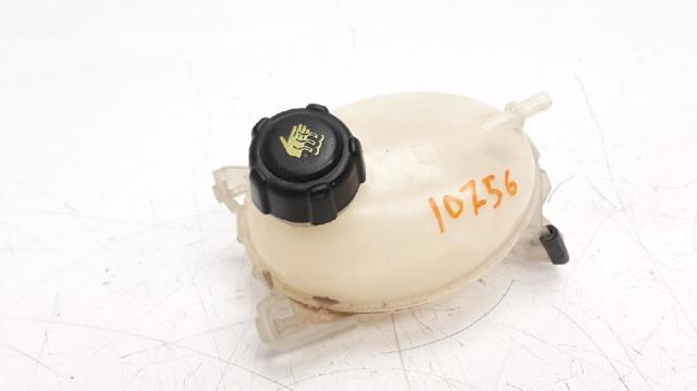 217107259R Renault (RVI)