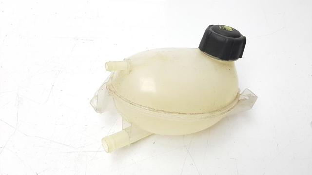 217107259R Renault (RVI)