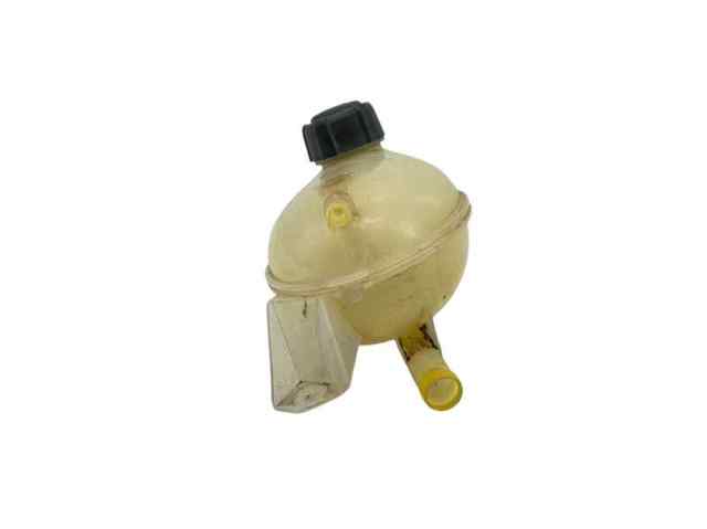 217107259R Renault (RVI)