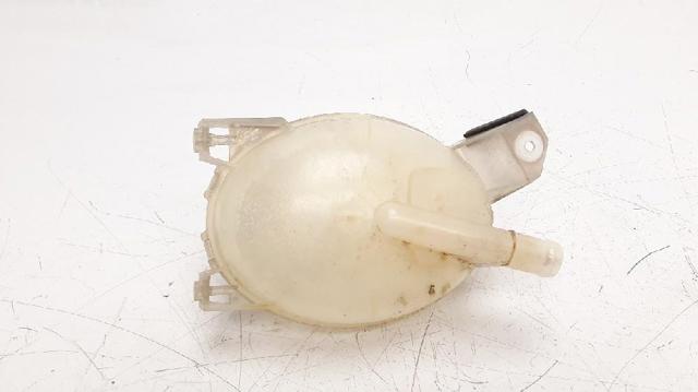 217107259R Renault (RVI)