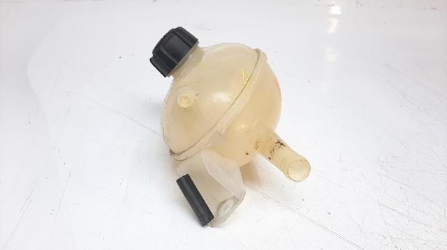 217107259R Renault (RVI)