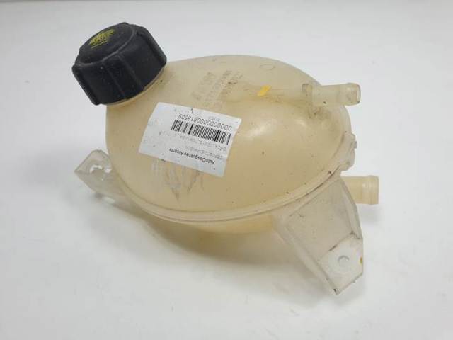 Zbiorniczek wyrównawczy układu chłodzenia 217107259R RENAULT