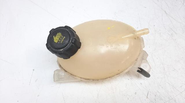 217107259R Renault (RVI)