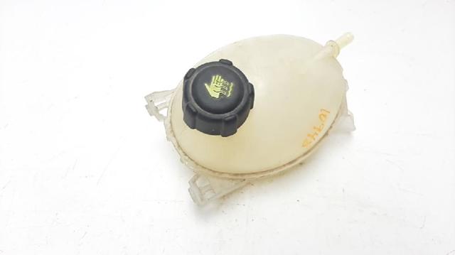 217107259R Renault (RVI)