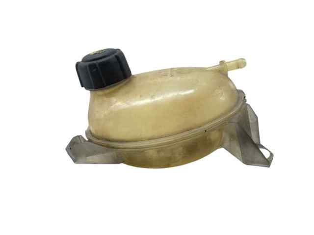 217107259R Renault (RVI)