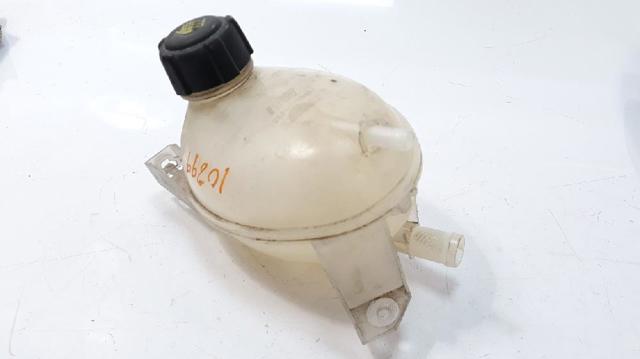 217107259R Renault (RVI)