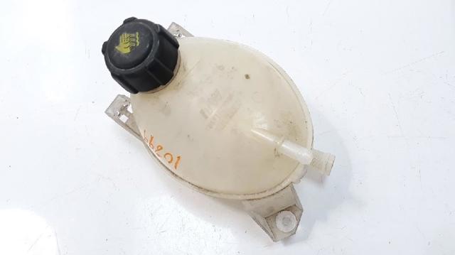 217107259R Renault (RVI)