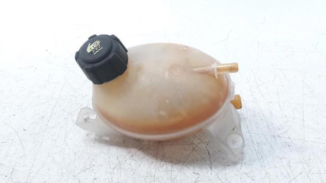 217107259R Renault (RVI)