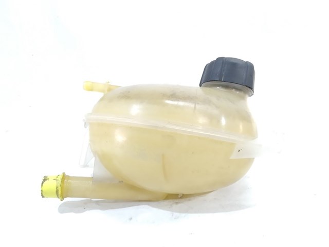 Zbiorniczek wyrównawczy układu chłodzenia 217107259R RENAULT
