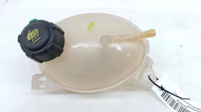 217107259R Renault (RVI)