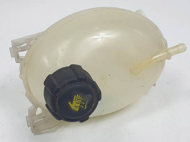 Zbiorniczek wyrównawczy układu chłodzenia 217107259R RENAULT