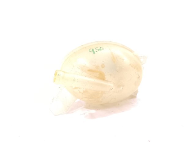 217107259R Renault (RVI)