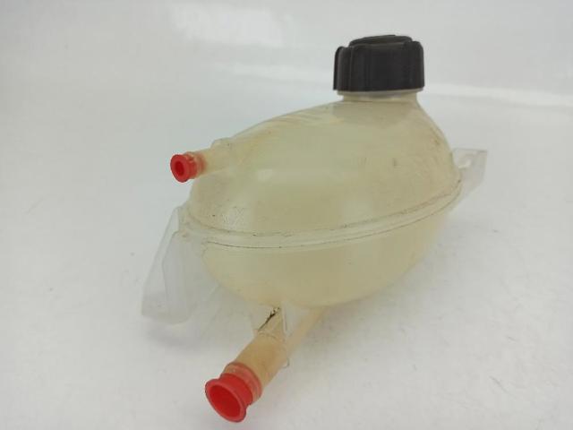 217107259R Renault (RVI)