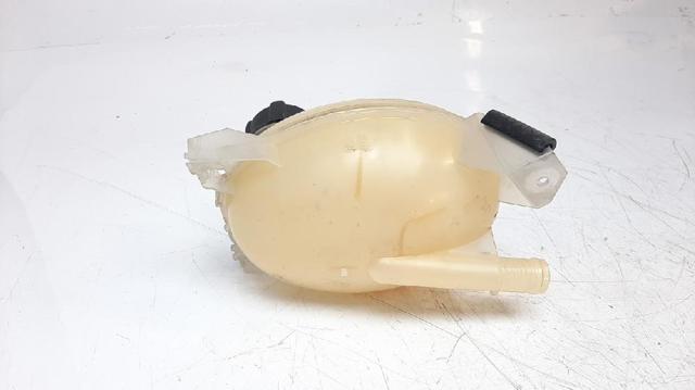 217107259R Renault (RVI)