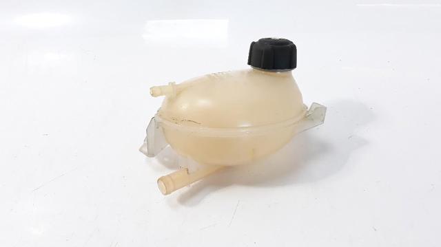 217107259R Renault (RVI)