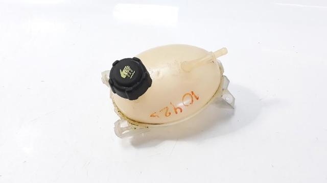 217107259R Renault (RVI)