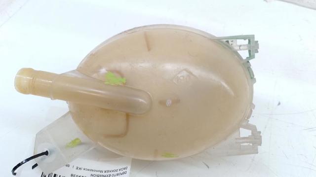 217107259R Renault (RVI)