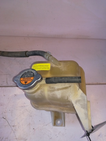 Zbiorniczek wyrównawczy układu chłodzenia Renault Koleos HY0