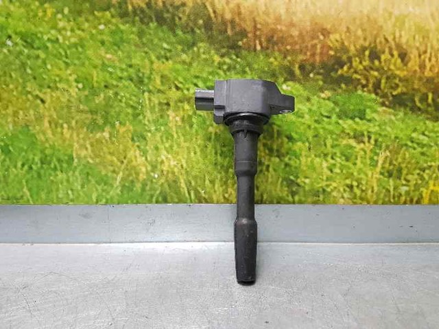 224332428R Renault (RVI)