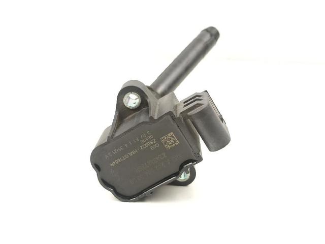 224332935R Renault (RVI)