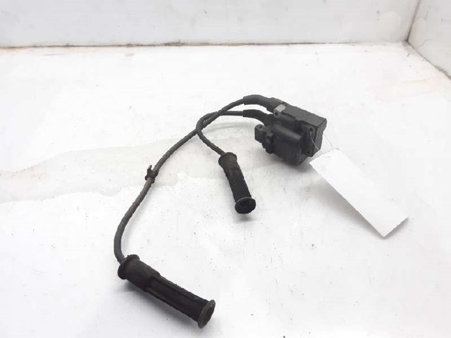 Cewka zapłonowa 224336134R RENAULT