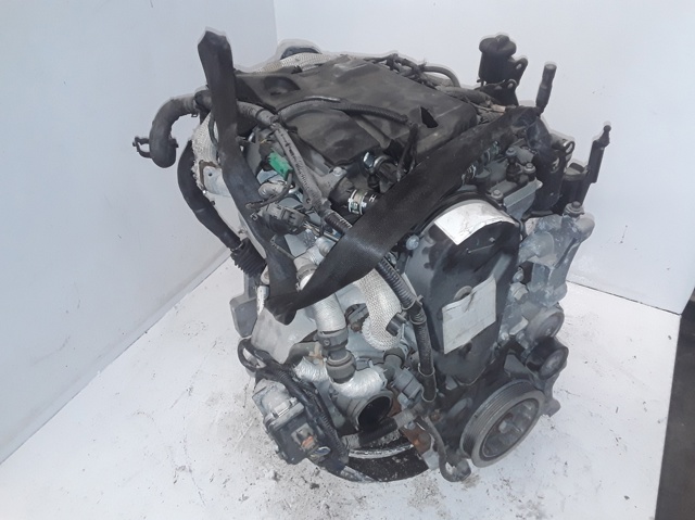 224DT Jaguar