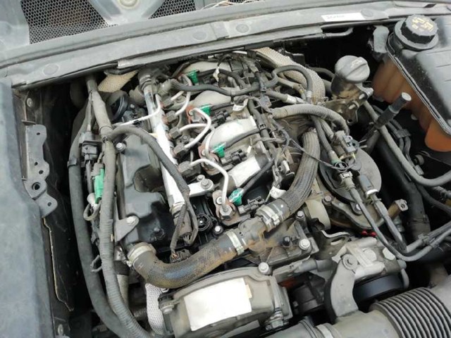 224DT Jaguar