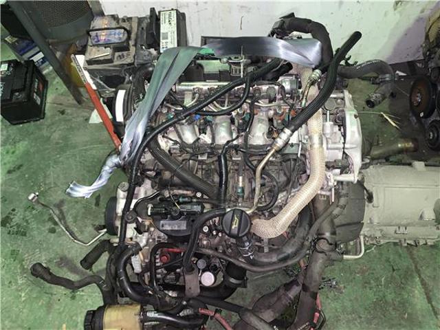 224DT Jaguar